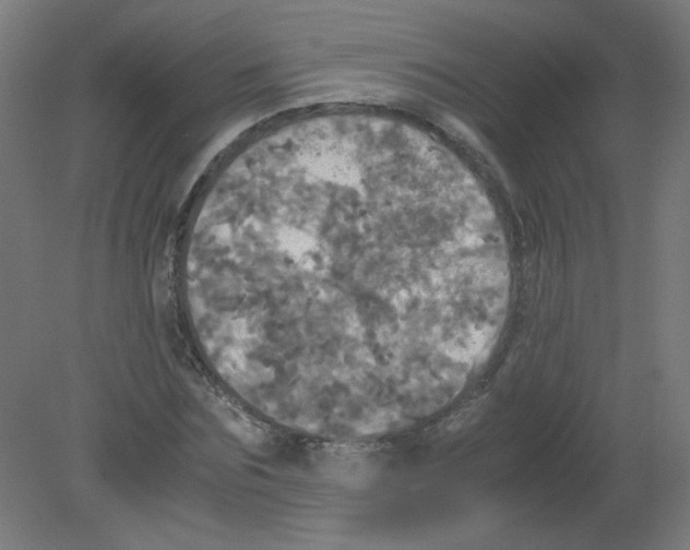 X0000080760875200701122026