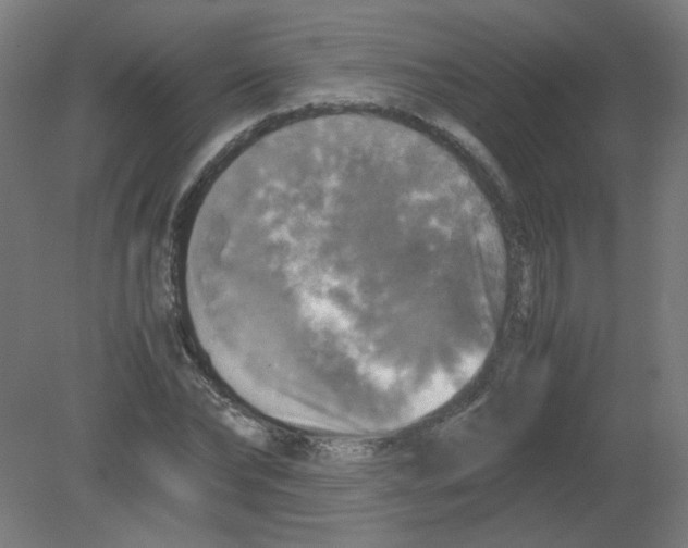 X0000080760878200701122026
