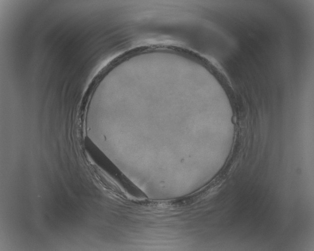 X0000080760879200701122026