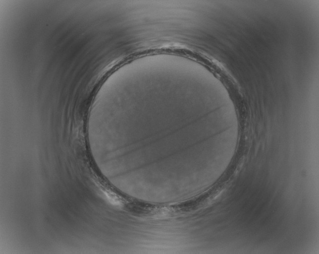 X0000080760881200701122026