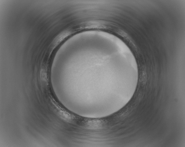 X0000080760882200701122026