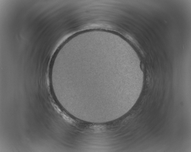 X0000080760888200701122026