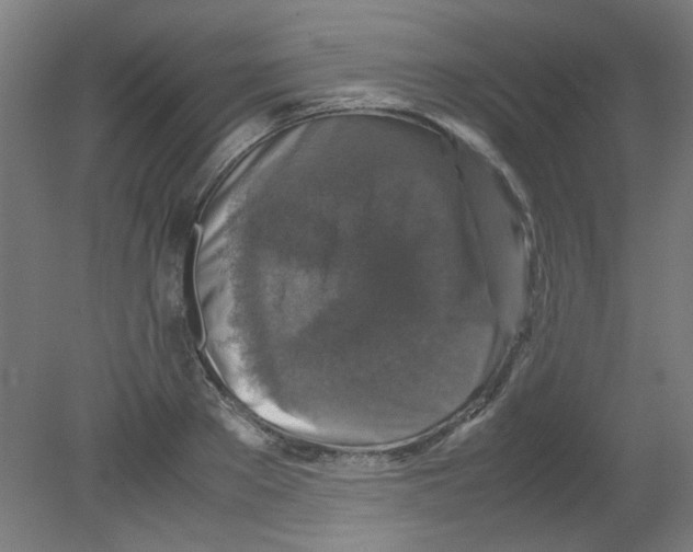 X0000080760889200701122026