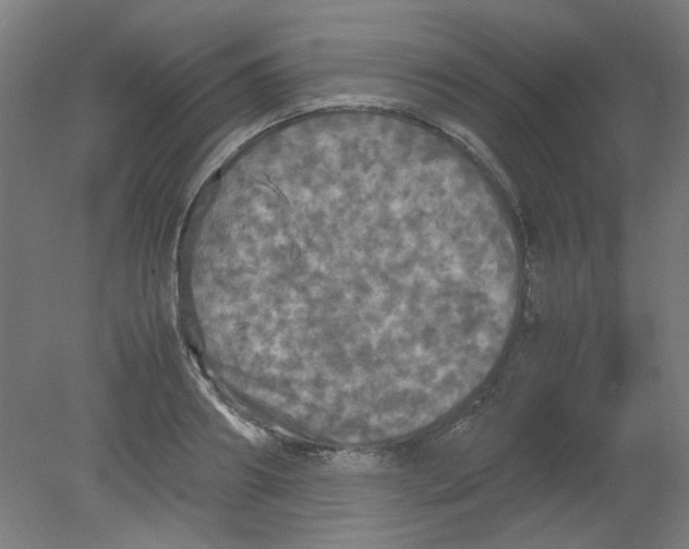 X0000080760890200701122026