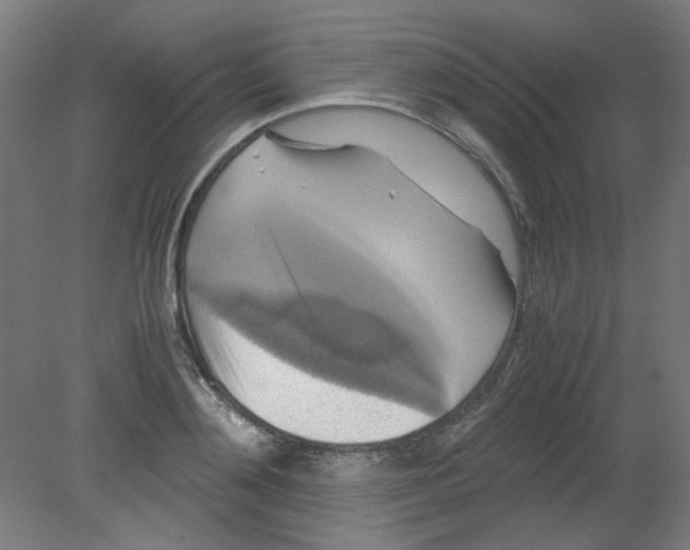 X0000080760892200701122026