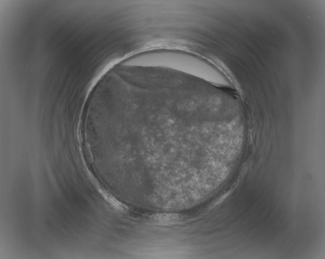 X0000080760893200701122026