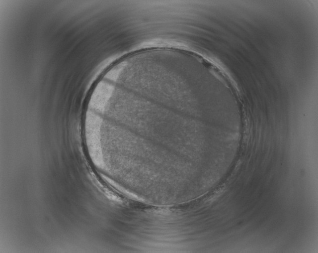 X0000080760896200701122026