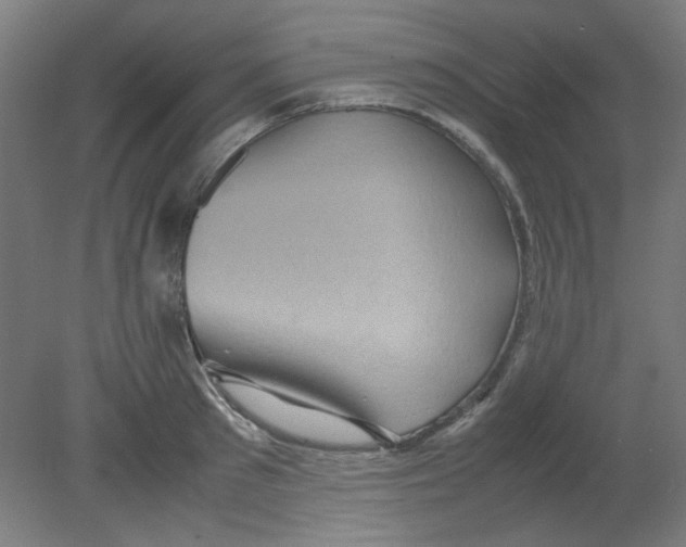 X0000080760897200701122026