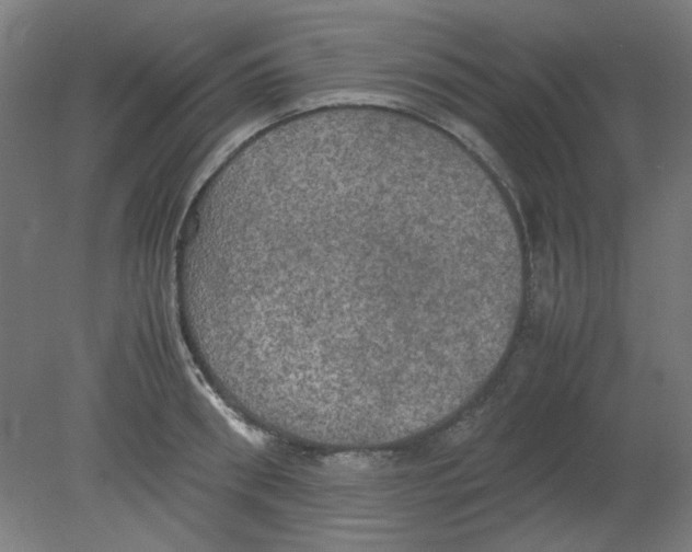 X0000080760898200701122026
