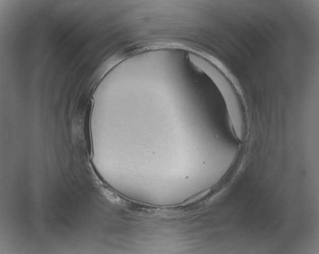 X0000080760905200701122026