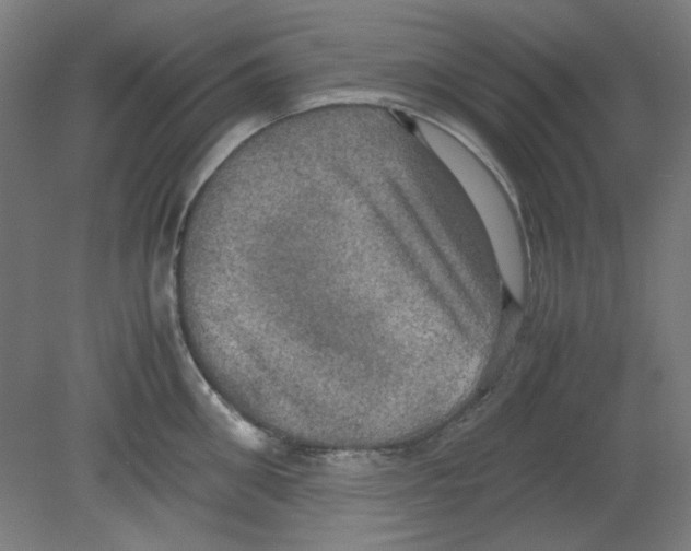 X0000080760906200701122026