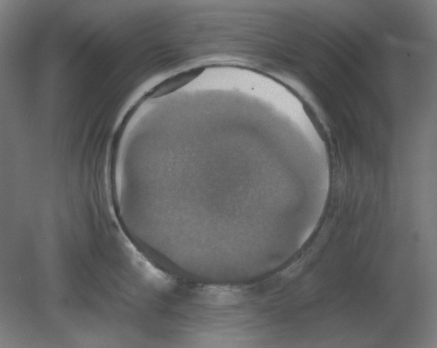 X0000080760910200701122026