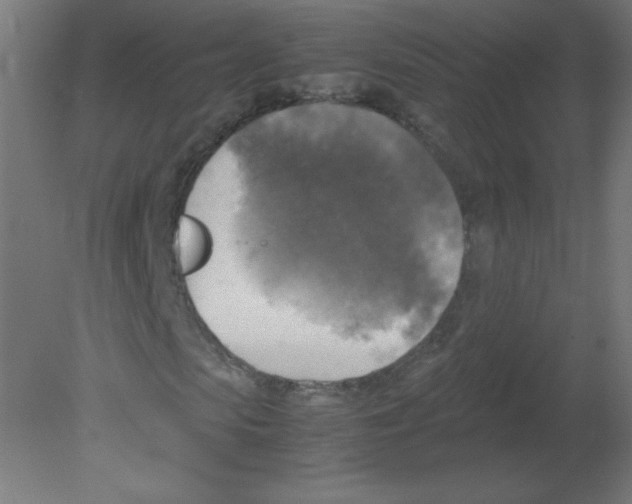 X0000080760913200701122025