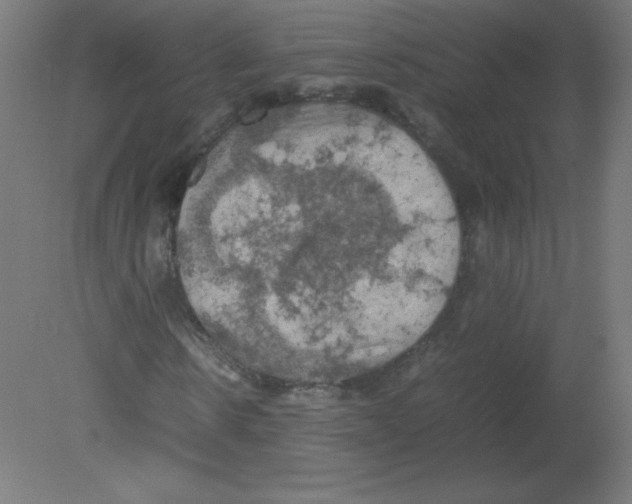 X0000080760914200701122025
