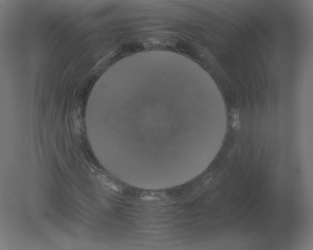 X0000080760915200701122025