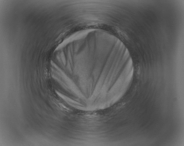 X0000080760916200701122025