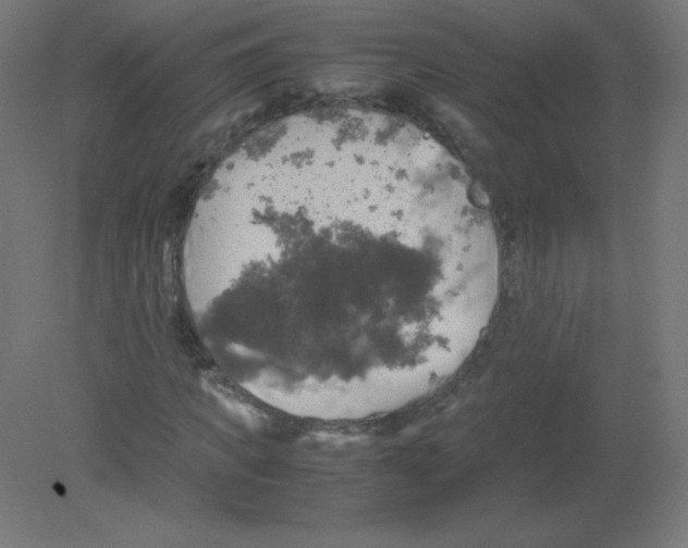 X0000080760917200701122025
