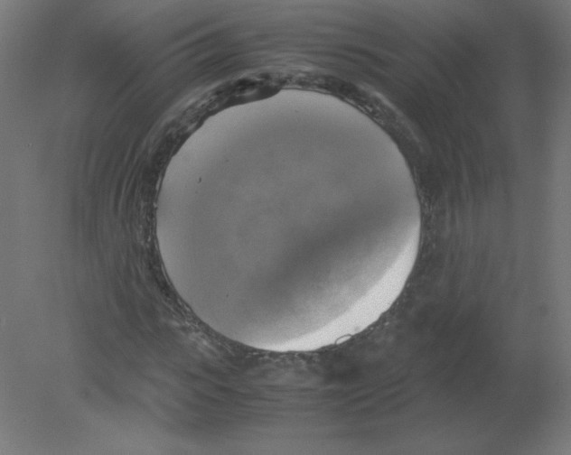 X0000080760919200701122025