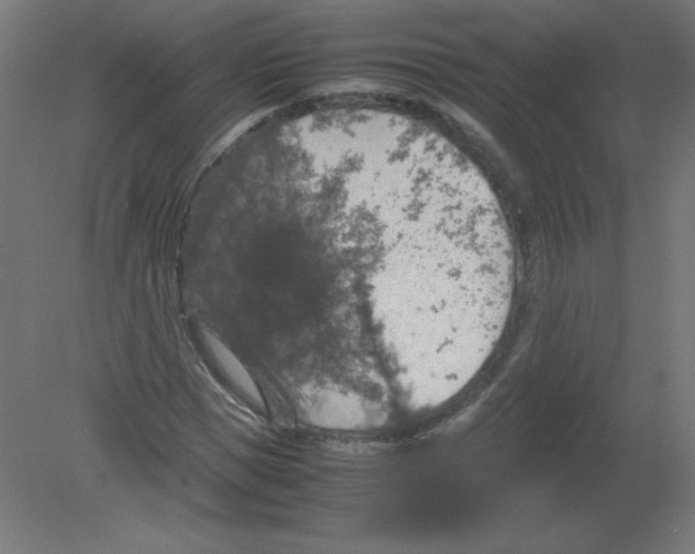 X0000080760921200701122025