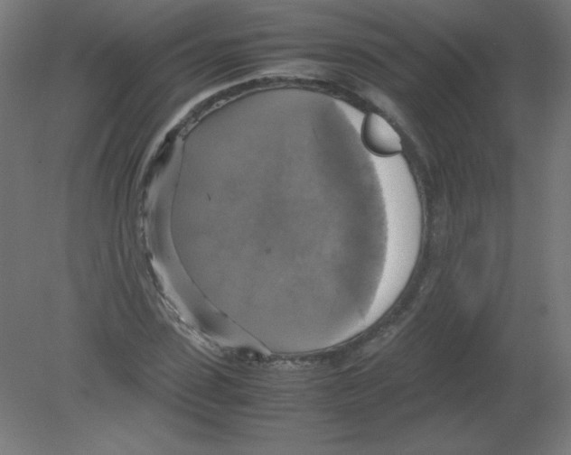 X0000080760923200701122025