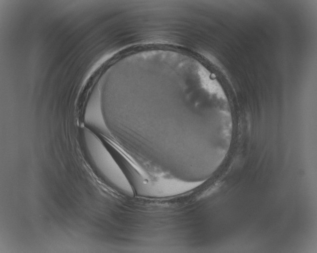 X0000080760925200701122025