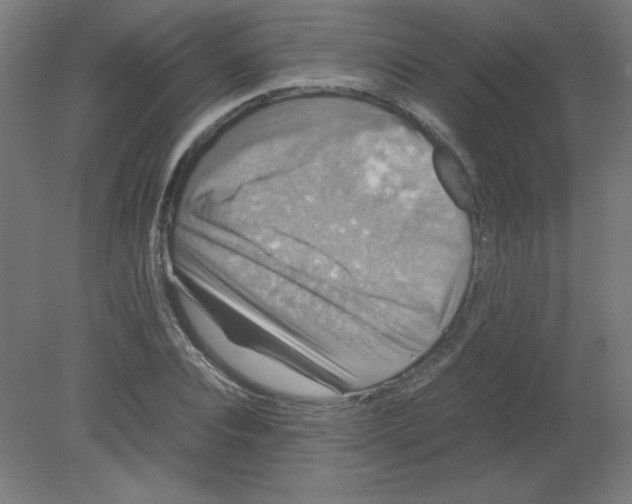X0000080760928200701122025