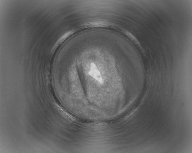 X0000080760930200701122025