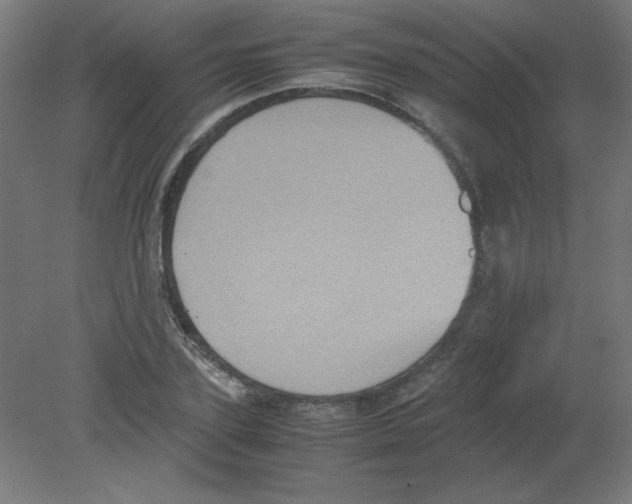 X0000080760931200701122025