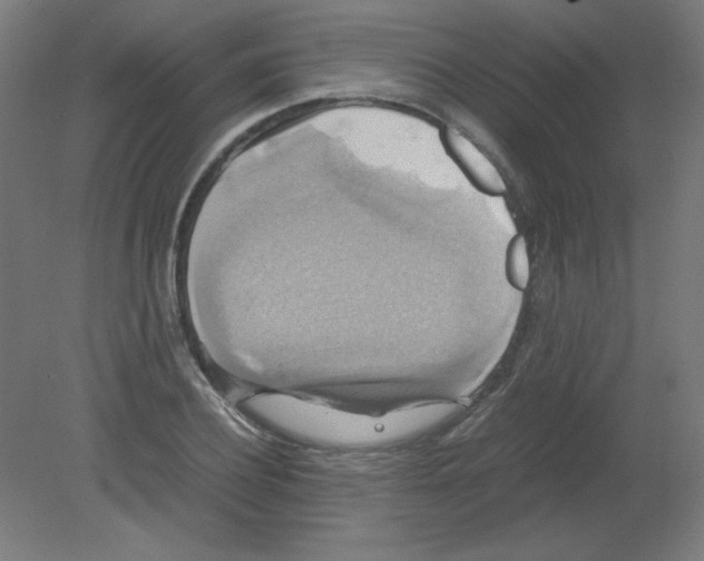 X0000080760932200701122025