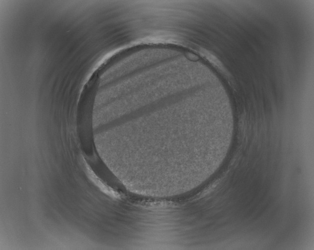 X0000080760934200701122025