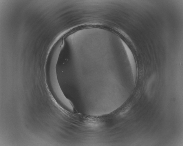 X0000080760935200701122025