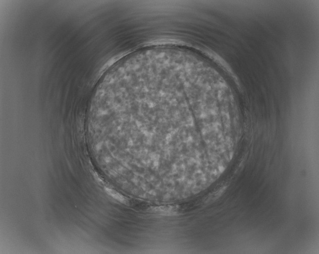 X0000080760937200701122025