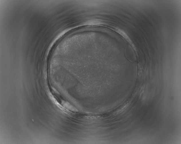 X0000080760939200701122025