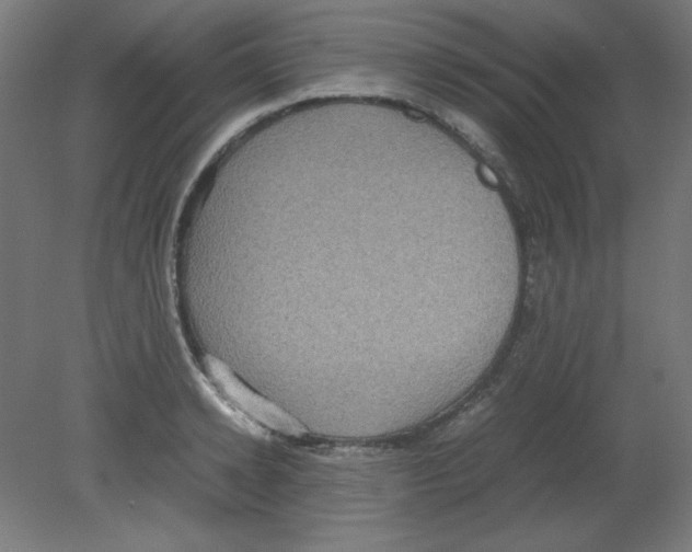 X0000080760942200701122025