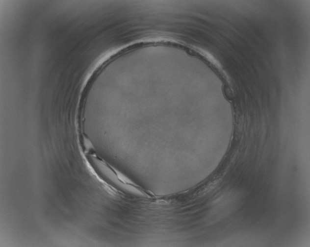 X0000080760943200701122025