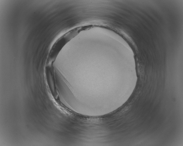 X0000080760944200701122026