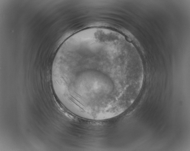 X0000080760945200701122026