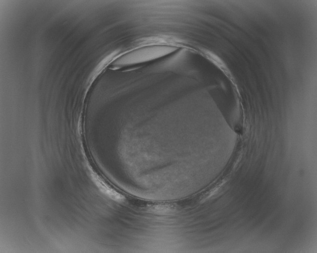 X0000080760946200701122026