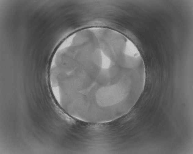 X0000080760950200701122026