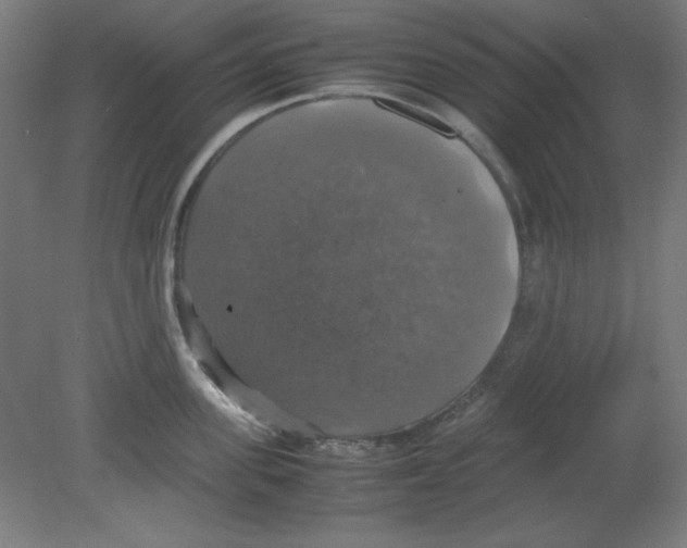 X0000080760955200701122026