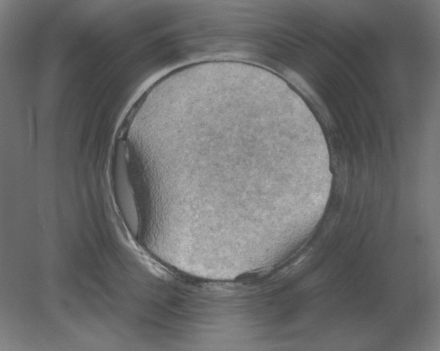 X0000080760956200701122026