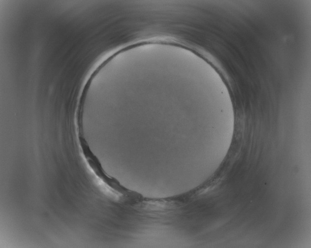 X0000080760959200701122026
