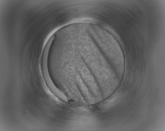 X0000080760960200701122026