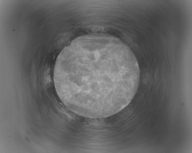 X0000080760962200701122025