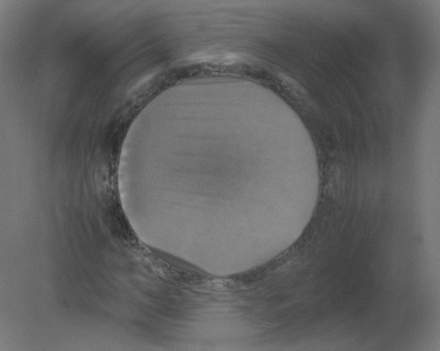 X0000080760966200701122025