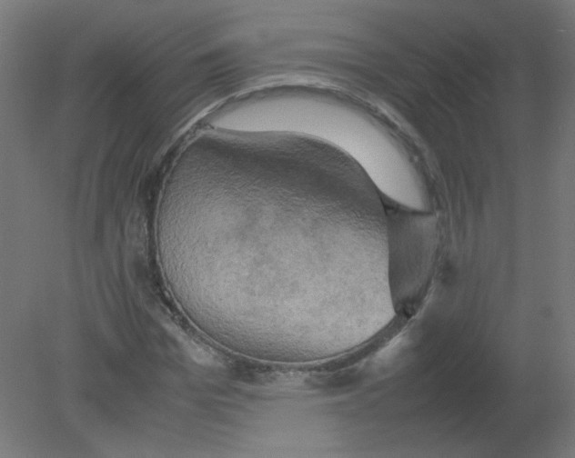 X0000080760969200701122025
