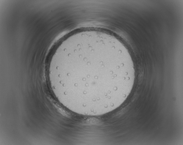X0000080760974200701122025