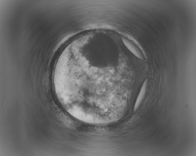 X0000080760975200701122025