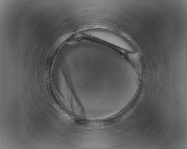 X0000080760977200701122025