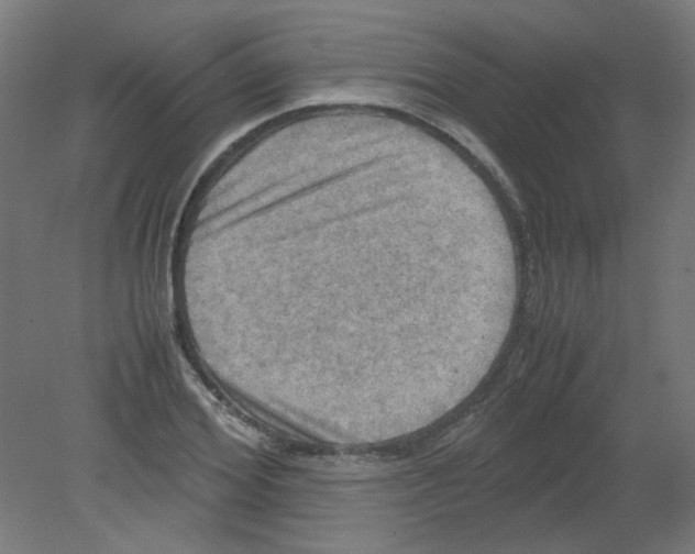 X0000080760980200701122025